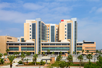 Jennie Sealy hospital, daytime