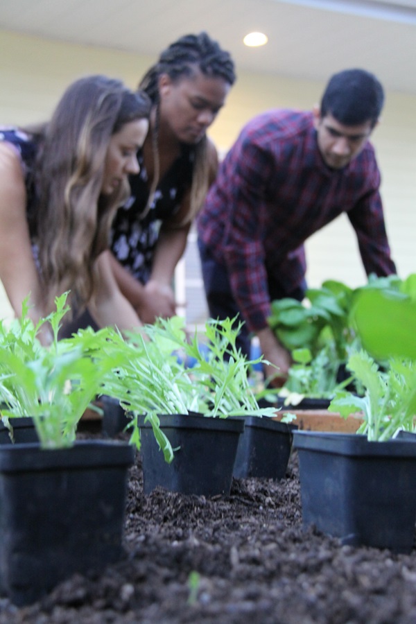 Image of SIGHT Students Planting Island Farmacy