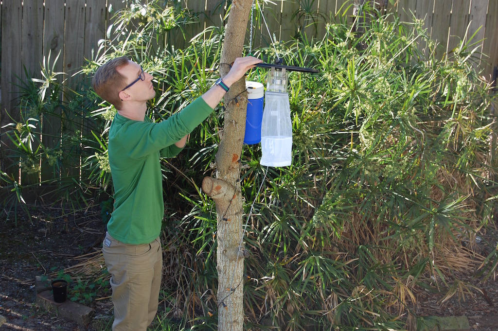 Graduate student Chris Roundy checks one of the 20 mosquito traps located on Galveston Island.