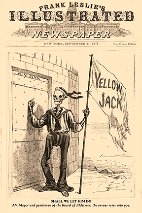 Yellow Jack book cover