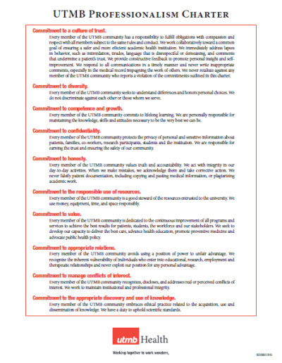 Professionalism Charter One Pager