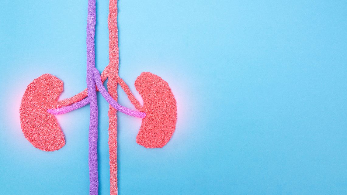 an image of a pair of cartoon kidneys on a blue background