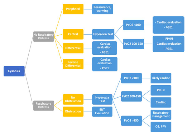 Evaluation of Neonatal Cyanosis