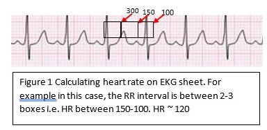 Pediatric Cardiology Part 2