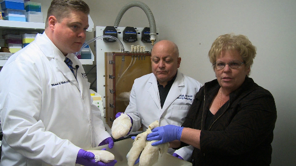 Drs. Michael Riddle, Joachim Cordiella and Joan Nichols hold the lung scaffold used to create human lungs.