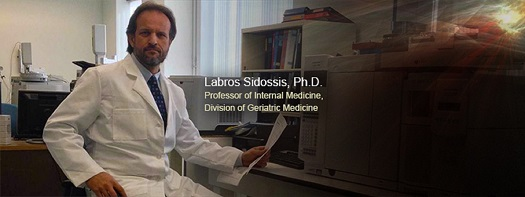 Labros Sidossis, Professor of Internal Medicine 