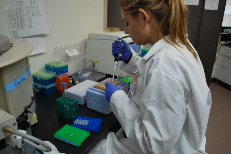 Hannah Kelly using polymerase chain reaction (PCR) to replicate segments of a particular DNA sequence