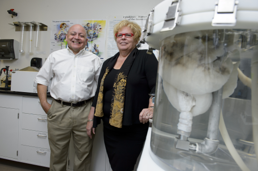 Dr. Joaquin Cortiella, a pediatric anesthesiologist, and Joan Nichols, PhD, associate director of the Galveston National Laboratory at UTMB, in their lab where they’re working to bioengineer lungs.