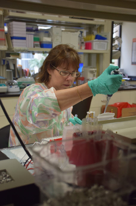 Valdes uses a gel electrophoresis apparatus to separate molecules