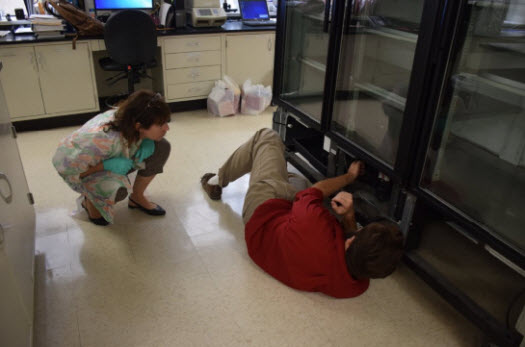 Valdes helps a repairman fix a broken refrigerator