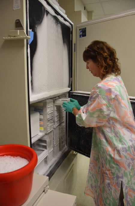 Valdes gets materials from a freezer for an experiment