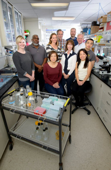 The Walker Research Lab and collaborating colleagues. Front row: Dr. Rong Fang, Patricia Valdes and Tais Saito, PhD, DVM. Second row: Claire Smalley, Donald Bouyer, PhD, Nicole Mendell, Vsevolod Popov, PhD, ScD, Jeremy Bechelli, Dr. David Walker, Guang Xu. Not pictured: Dr. Lucas Blanton.