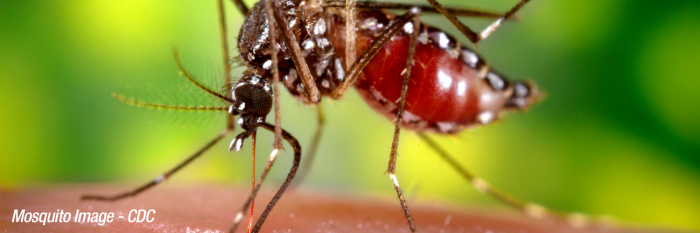 UTMB leading new international center for anticipating and countering mosquito-borne diseases
