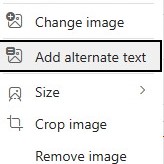 Outlook menu with the option Add alternate text selected