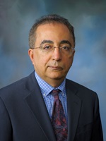 Massoud Motamedi, PhD