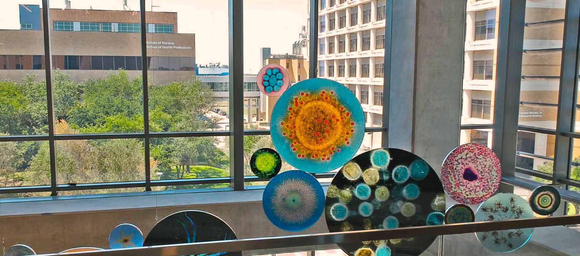 Colorful circular glass panels resembling cellular patterns hang inside UTMB Health Education Center with campus buildings visible beyond