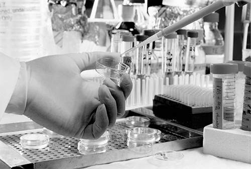 Closeup of petri dishes and vials in laboratory