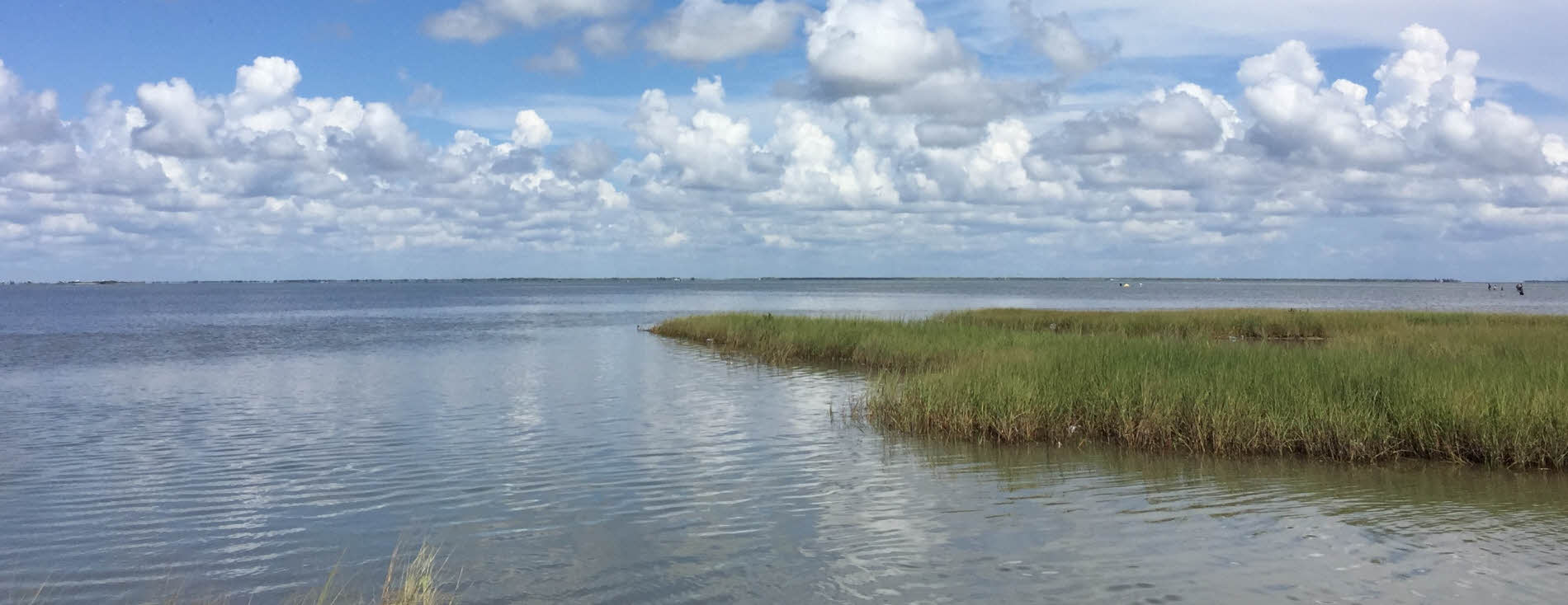 Image of marsh with water, grasses, and clouds against blue sky.