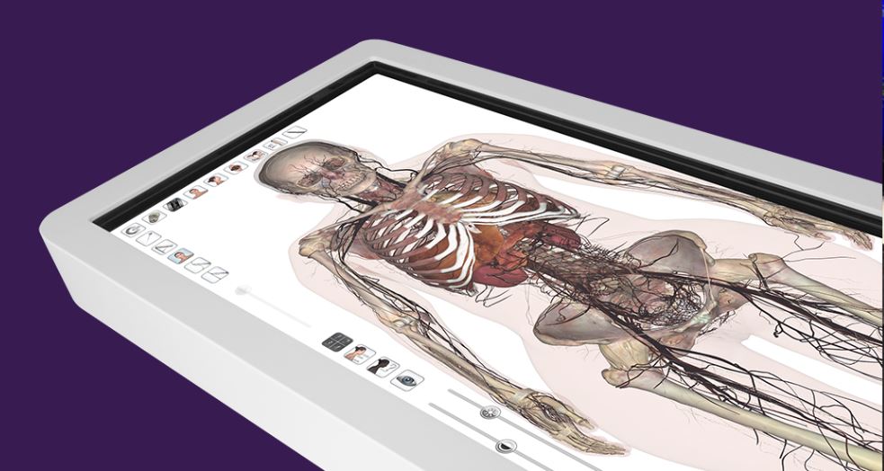 Interactive Anatomage Table displaying a detailed 3D human anatomy model with skeletal, muscular, and vascular systems visible, used for medical education and simulation training at UTMB.