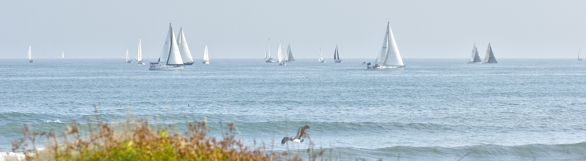 Sailboats off Galveston Beach