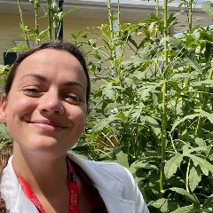 Individual standing outdoors near tall green plants in a cultivated garden environment.