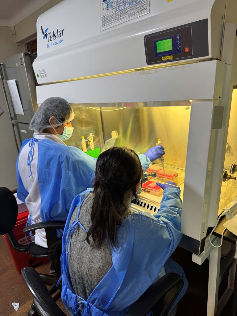 Fowler_3 Two students in lab coats and masks working at a biosafety cabinet in a research lab.