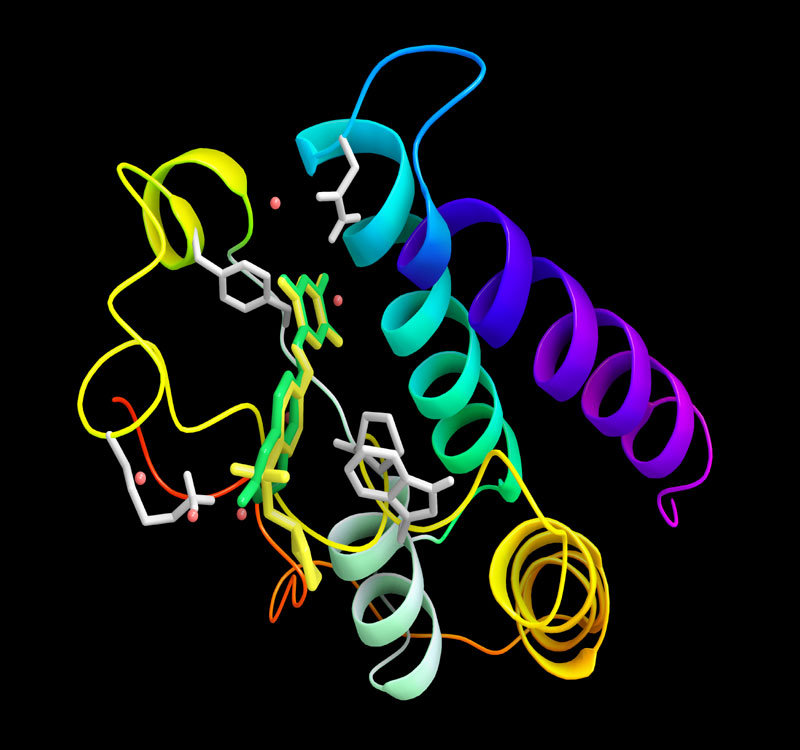 BRD4-inhibitor_Picture