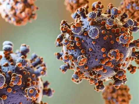 Photo shows a colorized depiction of the Andes virus