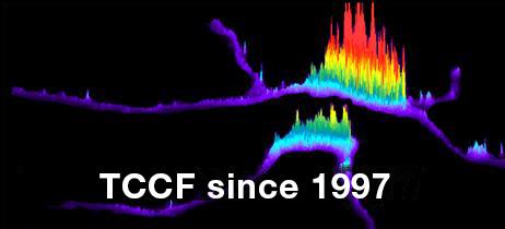 TCCF since 1997