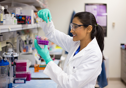 Researcher wearing gloves and safety glasses looking at samples in a laboratory.