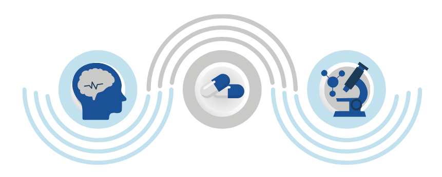 brain, connection, pharmacy, science, sudy