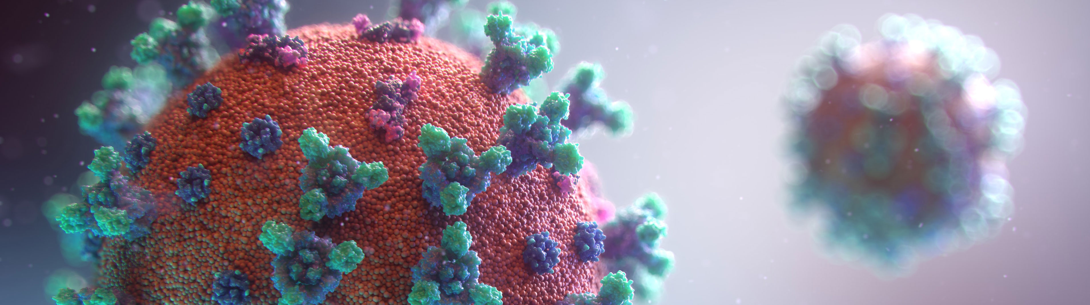 Close up image of a COVID-19 virus cell.