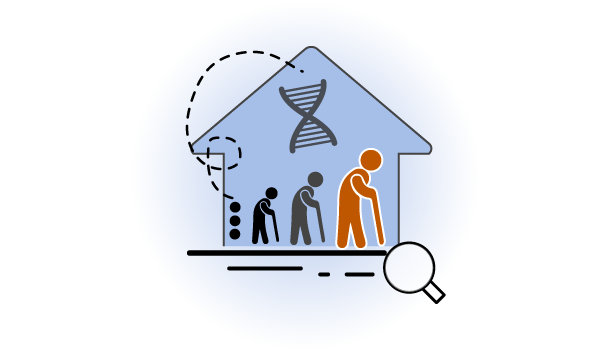 Icon graphic depicting a home, older people walking with canes, a magnifying glass and an hourglass