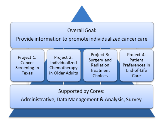 Cores and projects support the overall goal of providing information to promote individualized cancer care