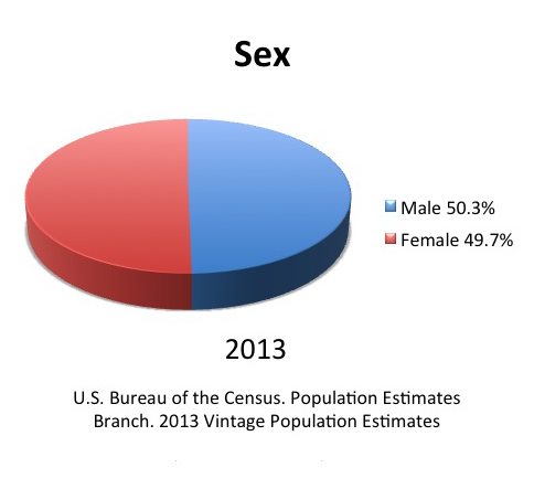 pie chart showing males made up 50.3% of the population