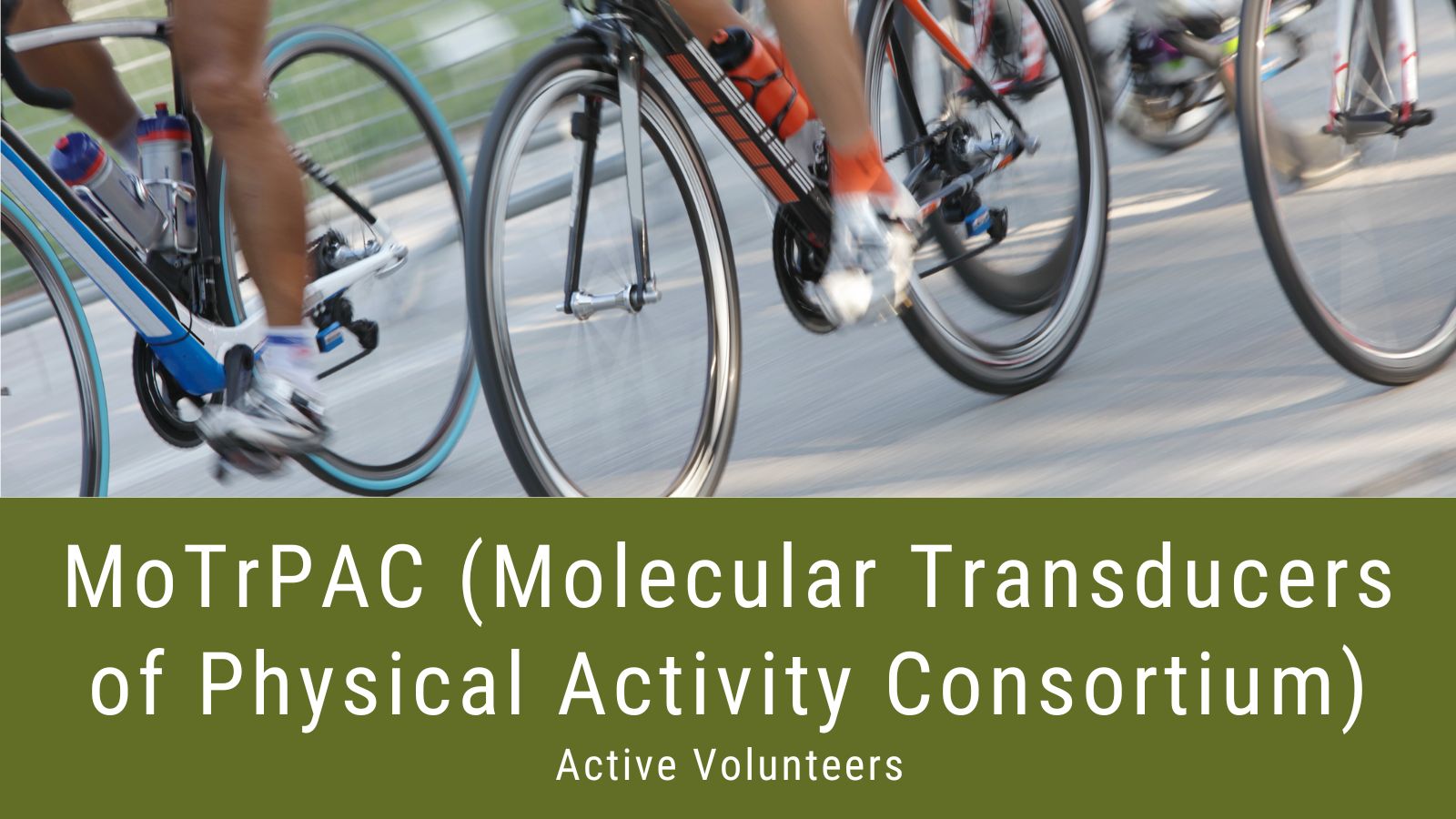 photo of bicycles racing, MoTrPAC (Molecular Transducers of Physical Activity Consortium) Active Volunteers