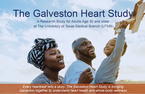 The Galveton Heart Study a research study for adults age 30 and older at The University of Texas Medical Branch