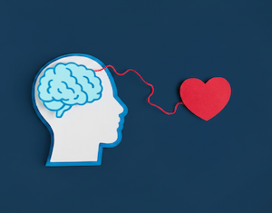 illustration connecting the brain and heart