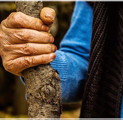 older person's hand holding a staff in a rustic environment
