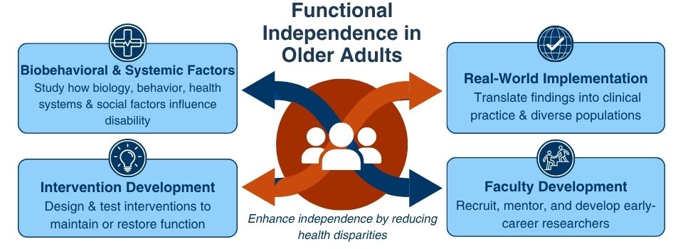 Four domains of Functional Independence in Older Adults: behavioral & systemic factures, real-world implementation, intervention development, and faculty development