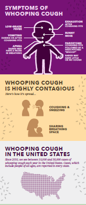 Infographic describing symptoms of whooping cough, how contagious the infection is, and the regions in the United States where cases have been reported.