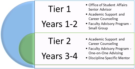 Tier 1, Years 1-2, Tier 2, Years 3-4