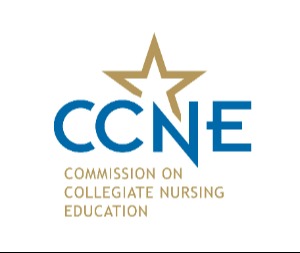 Logo with CCNE in blue and Commission on Collegiate Nursing Education in gold