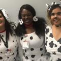 Angleton Danbury Puppies