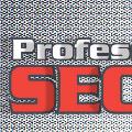Professor SECC art