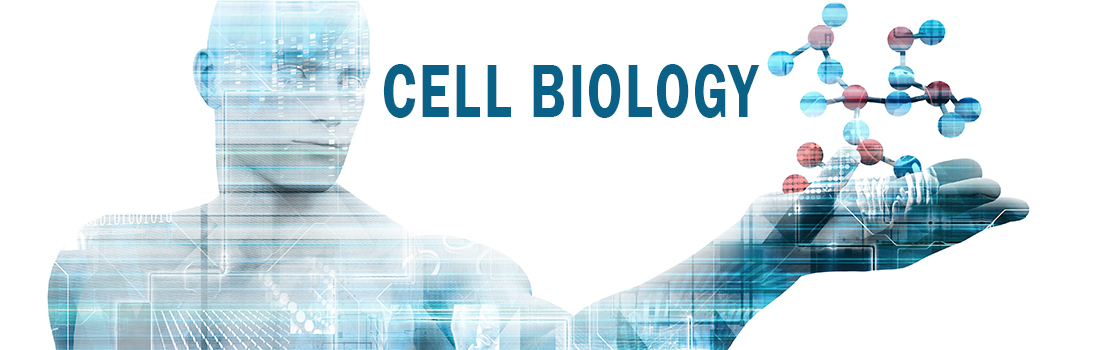 Cell Biology Header Art