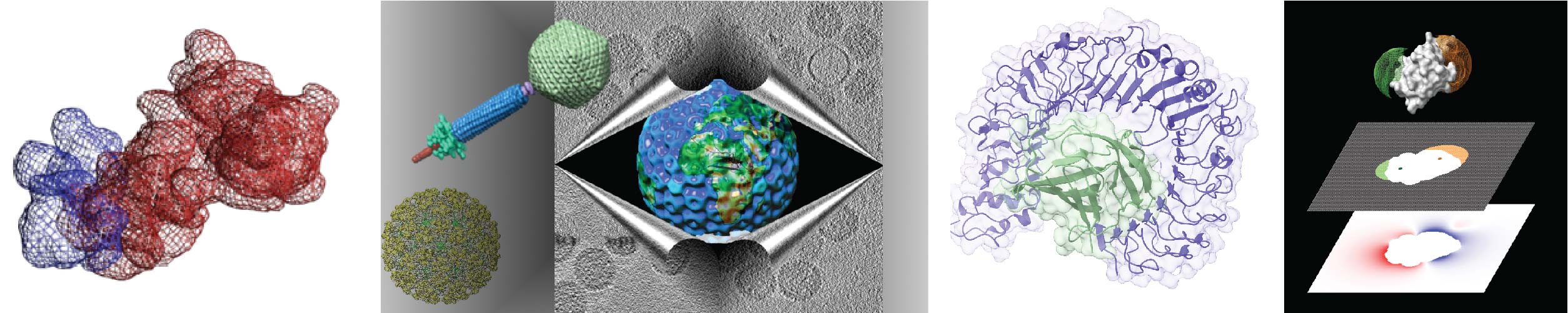 A multi-panel scientific image showing electrostatic surface mapping, viral structures, cryo-electron microscopy visualization, protein complexes, and computational modeling of molecular interactions.