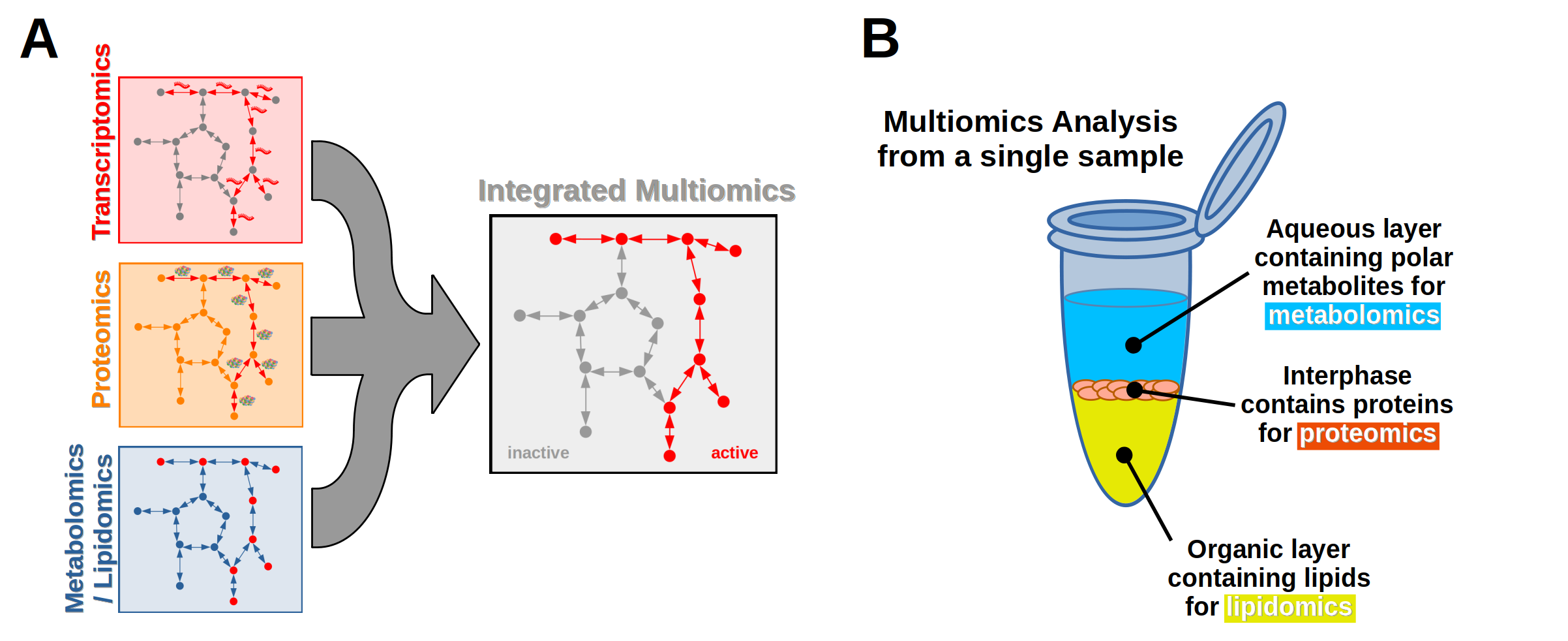 Two-panel diagram showing integration of transcriptomics, proteomics, and metabolomics data, alongside a sample extraction method separating metabolites, proteins, and lipids into distinct layers.
