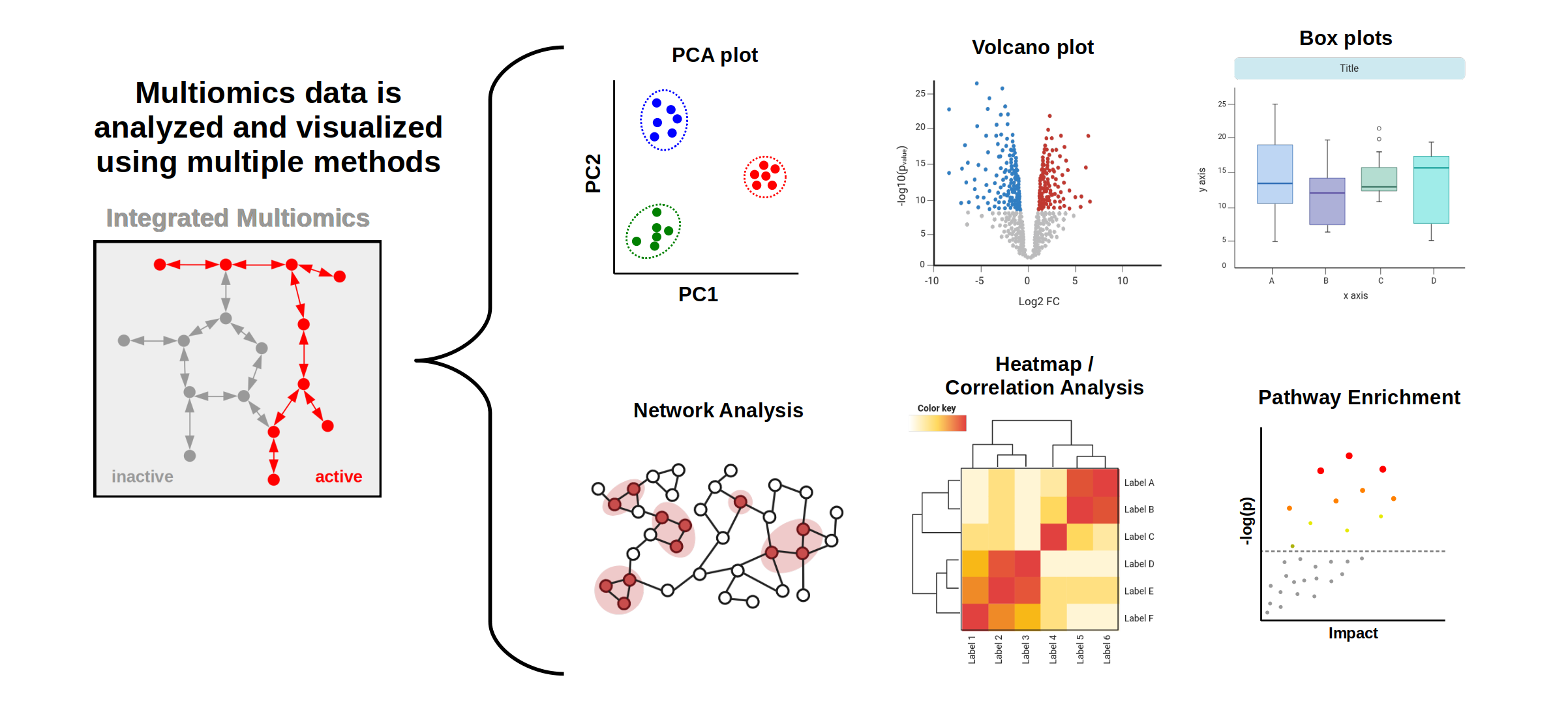 Diagram showing integrated multiomics data analyzed using PCA, volcano plots, box plots, network analysis, heatmaps, and pathway enrichment.