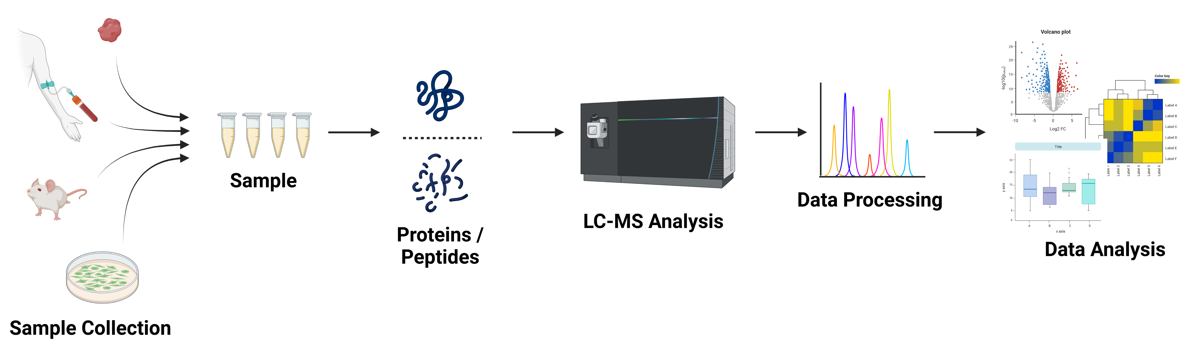 Illustrated workflow showing sample collection from blood, tissue, or cells, followed by protein processing, LC-MS analysis, and downstream data processing and analysis.